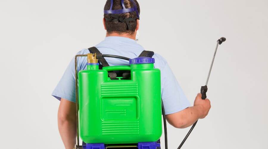 Why choose Raccoon Removal Annandale for raccoon removal in Annandale